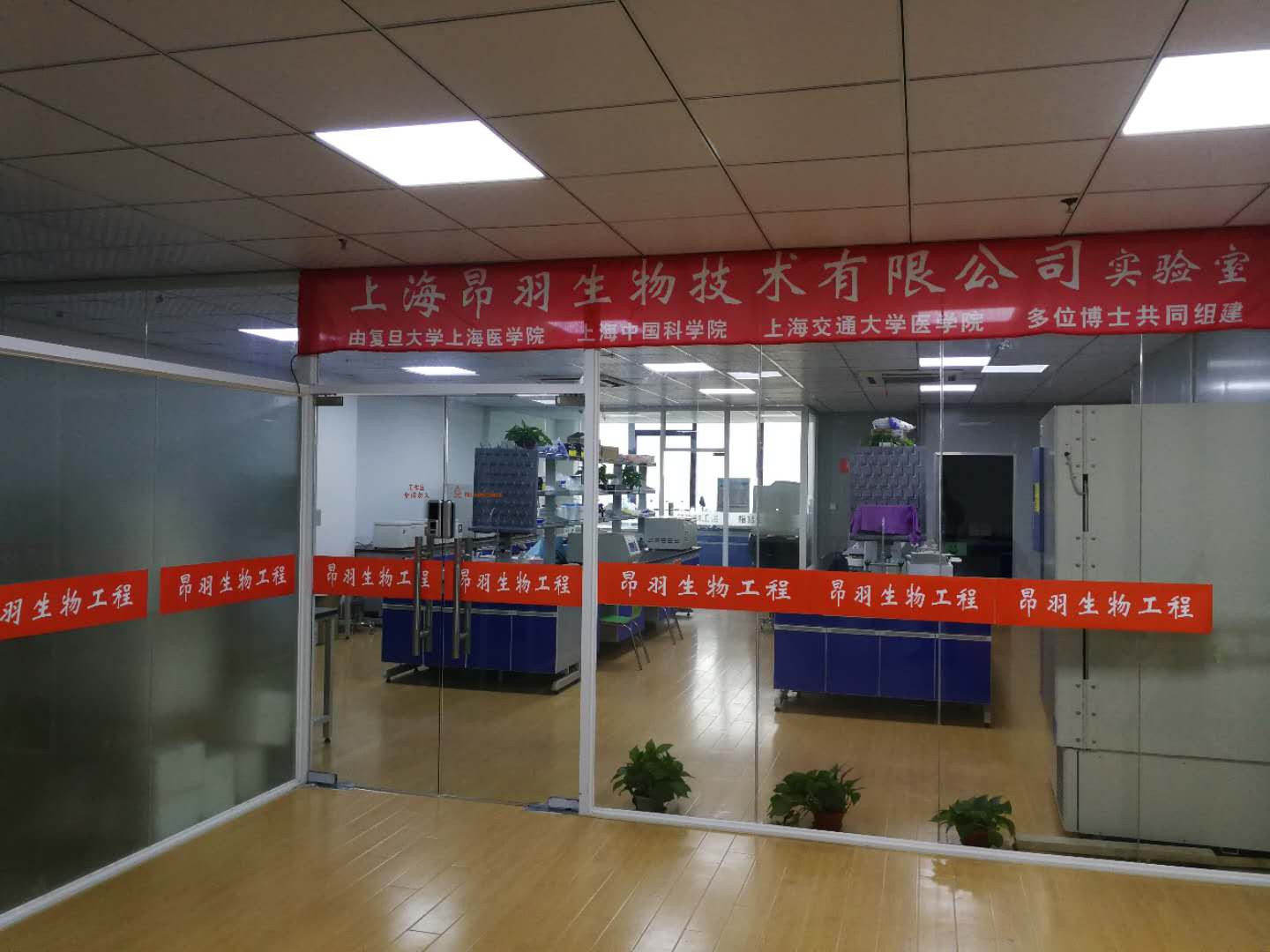 11Ҵ[-1